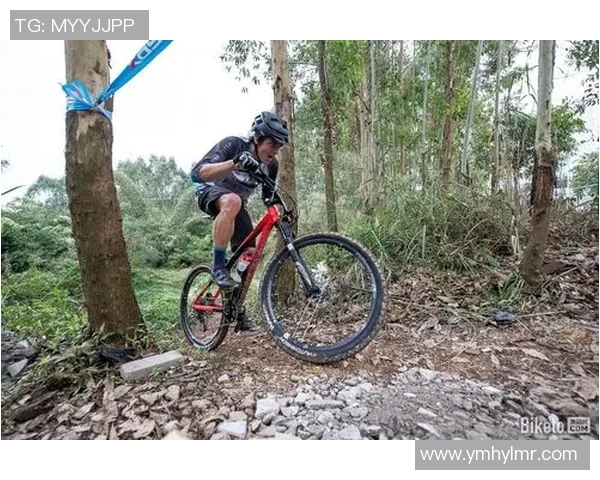 成都极限运动队战术探讨与竞技精神的深度融合 成都极限运动队战术探讨与竞技精神的深度融合