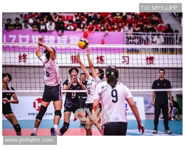 上海排球队荣登排球力量排行榜首位展现强大实力与团队精神 上海排球队荣登排球力量排行榜首位展现强大实力与团队精神