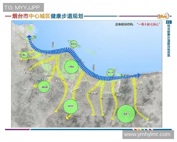 武汉羽毛球队战术解析与对比探讨全面剖析球队优势与不足