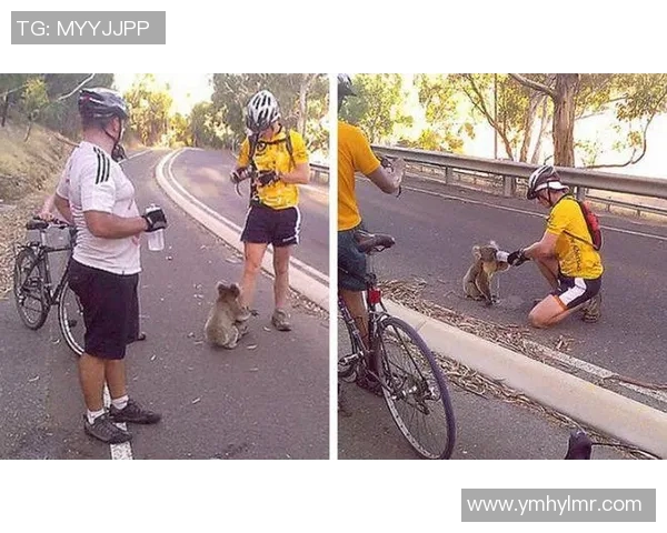足球明星温暖心灵瞬间与粉丝互动展现真诚情感的感人时刻
