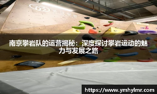 南京攀岩队的运营揭秘：深度探讨攀岩运动的魅力与发展之路