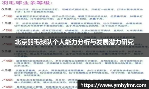 北京羽毛球队个人能力分析与发展潜力研究