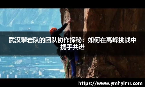 武汉攀岩队的团队协作探秘：如何在高峰挑战中携手共进